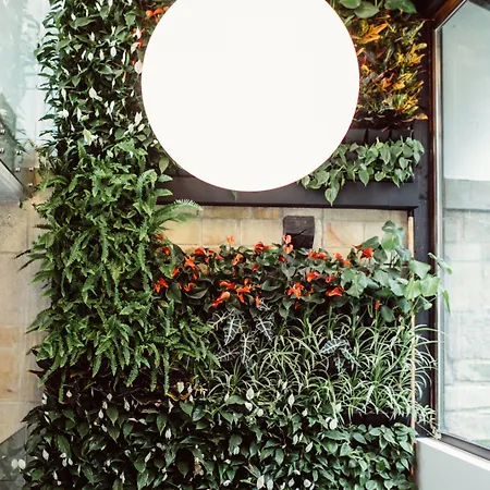 Cuevas - Adults Only 4* Santillana del Mar