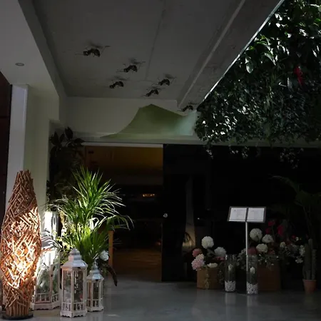 Hotel Cuevas - Adults Only 4*