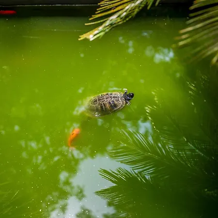 Cuevas - Adults Only סנטילנה דל מר