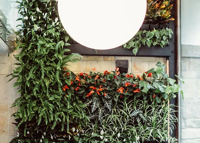 Hotel Cuevas - Adults Only