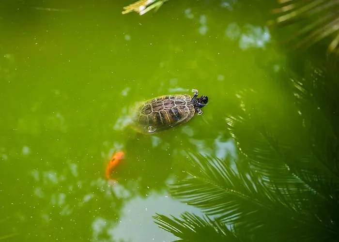 Cuevas - Adults Only Santillana del Mar